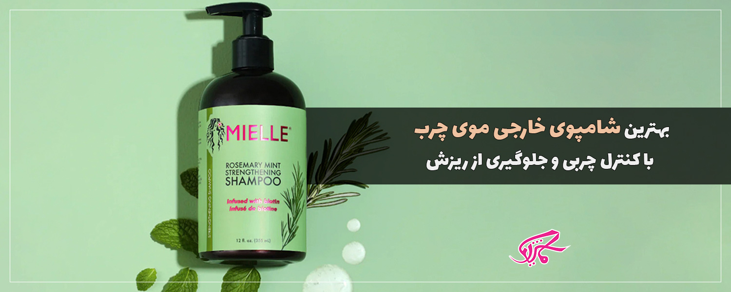 بهترین شامپوی خارجی موی چرب با کنترل چربی و جلوگیری از ریزش