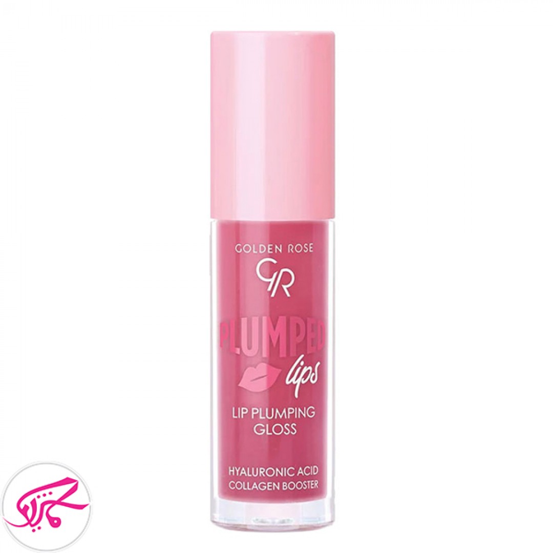 لیپ پلامپر حجم دهنده لب گلدن رز Golden Rose Plumped Lips Plumping Gloss