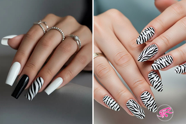 طرح ناخن گوره خری