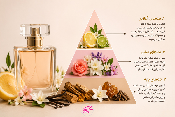 هرم بویایی عطر چیست و چرا اهمیت دارد؟